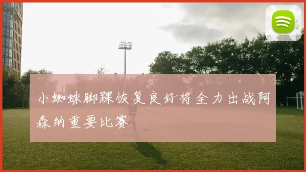 小蜘蛛脚踝恢复良好将全力出战阿森纳重要比赛